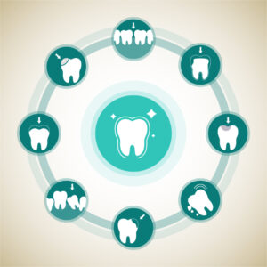 Numerazione denti